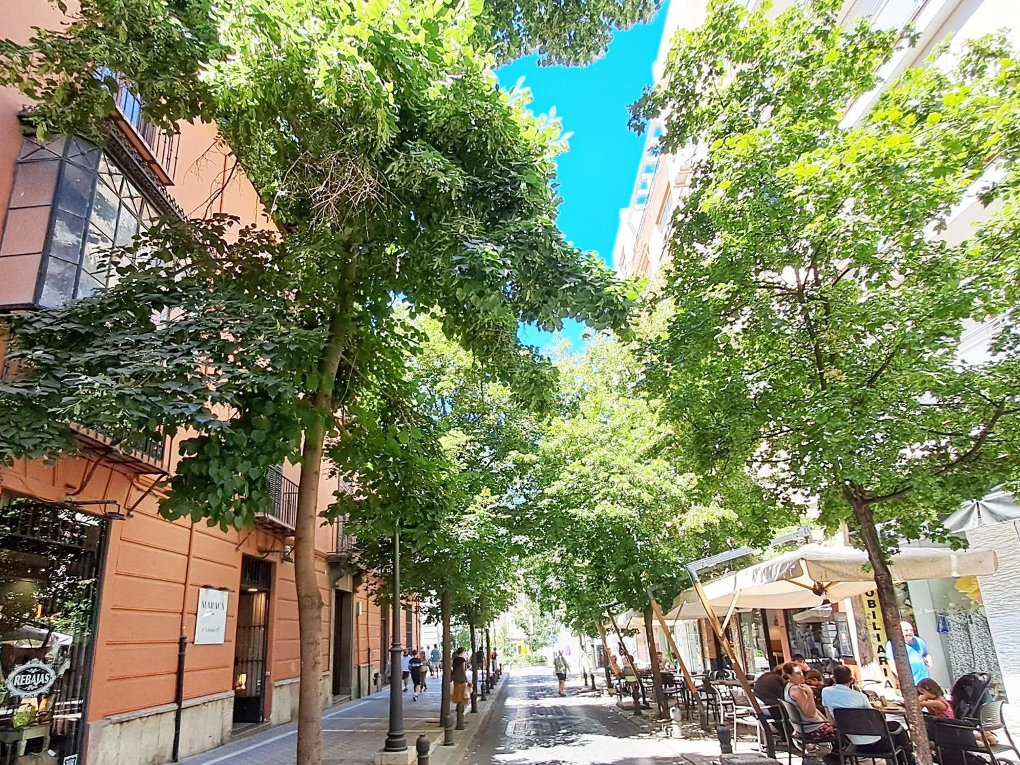 Apartasuite Centro Historico Atico Tranquilo Y Luminoso En El Corazon De Гранада Екстер'єр фото
